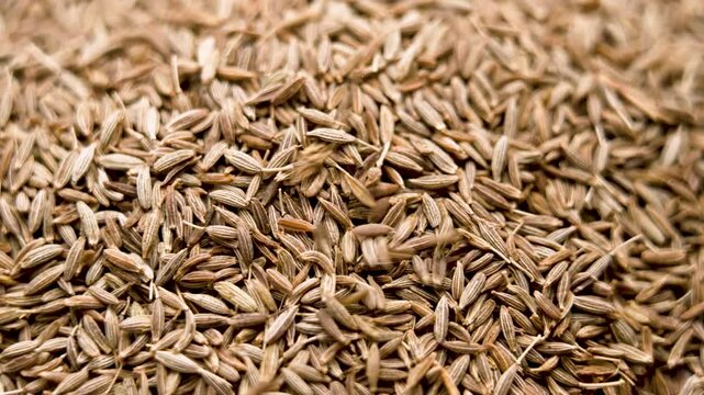 Whole dry cumin seeds falling in slow motion. Aromatic Asian spice. Organic ingredient. Top view. Macro shot. Rotation