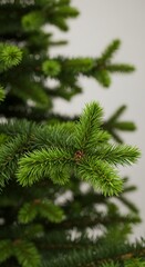 Obraz premium 深緑の静寂 針葉樹の息吹