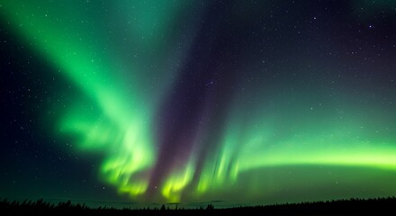 Vibrant Emerald Aurora Borealis Dancing Across Starry Night Sky