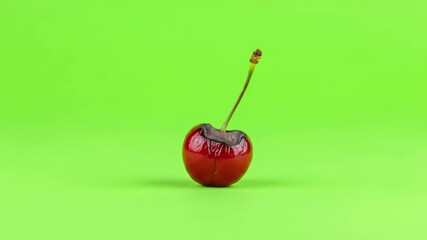 Red cherry with stem accelerated filming of food rotting against bright green background  