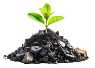 Glowing Green Sprout Emerging from a Pile of Dark Industrial Rubble and Waste
isolated on white background ,PNG.AI Generated.