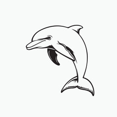 dolphin isolated on white background