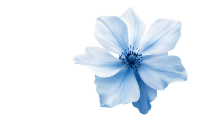 blue flowers png