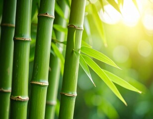 Close-up photography of green bamboo stalks with natural texture and soft sunlight
