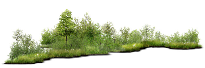 green grass isolated on white/Green trees shrub foliage grass plants leaves forest PNG background. © Saharattaphum