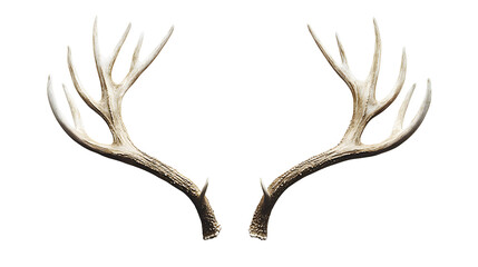 antlers png