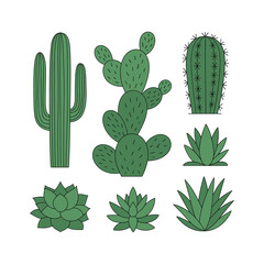 Collection of various green desert cacti and succulents in a flat illustration style