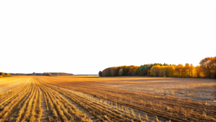  harvested empty agricultural field in autumn with sky isolated on white background ,PNG.AI Generated.