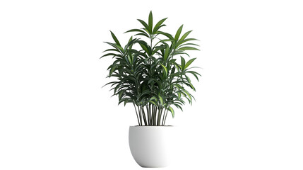 Fototapeta premium potted plants png