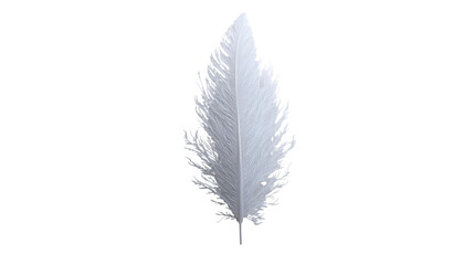 Obraz premium feather png