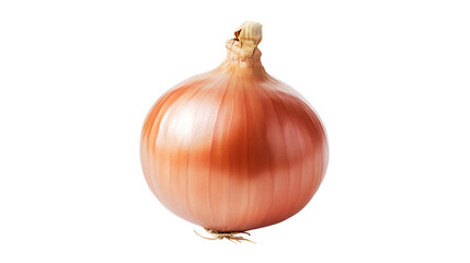 onion png