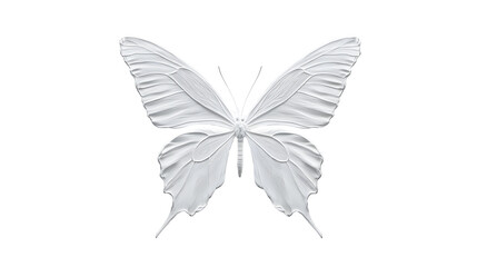 butterfly image png