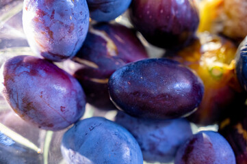 Close-up of blue figs and plums in a glass vase.