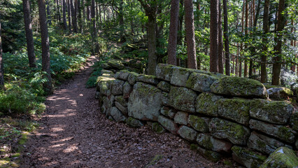 Vestige antique du mur païen dans la forêt du mont Sainte-Odile en Alsace en France en été 
