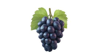 Fototapeta premium grape png
