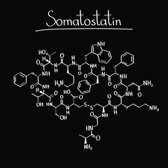 Somatostatin Hormone Molecule Growth Regulation and Medical Biochemistry Illustration doodle hand draw