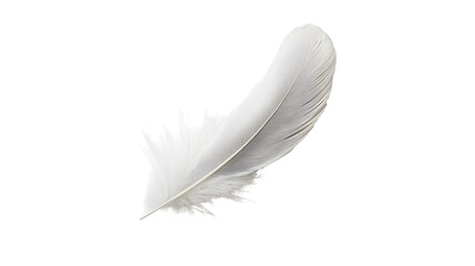 Obraz premium feather png