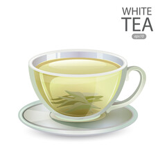 Cup of White Tea isolated on white background. Vector illustration.