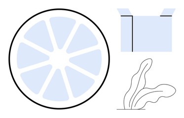 Geometric citrus slice, open box with flaps, and abstract leaf shapes. Ideal for nature, productivity, packaging, modern design, branding creativity sustainability. Clean and simple flat metaphor
