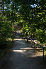 奈良、唐招提寺、佛寺、寺院、文化財、木造建築、古代建築、日本文化、歷史名勝、文化財、木、綠色、青空、写真素材