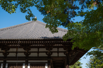 奈良、唐招提寺、佛寺、寺院、文化財、木造建築、古代建築、日本文化、歷史名勝、文化財、木、綠色、青空、写真素材