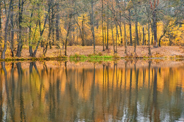 Fototapeta premium Autumn Forest with Perfect Lake Reflection