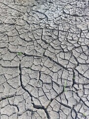 dry cracked earth