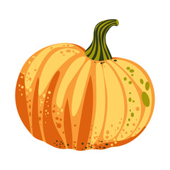 Vector illustration of orange pumpkin. Autumn vegetable, harvest food, Thanksgiving or Halloween decoration, seasonal design.