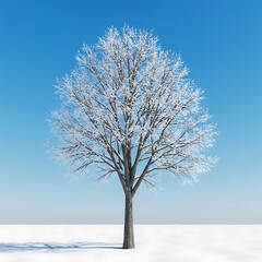 冬の静寂、3D描写