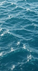 Fototapeta premium 海面のきらめき、揺らぎの調べ