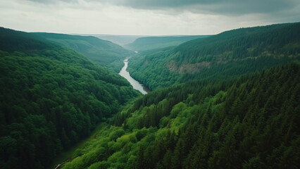 Obraz premium Scenic river bends through untouched wilderness forest canopy.