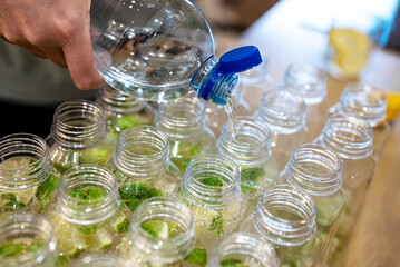 Plastic bottles filled with homemade lime mint soda.