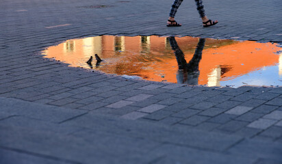 Fototapete bei efototapeten.de bestellen   