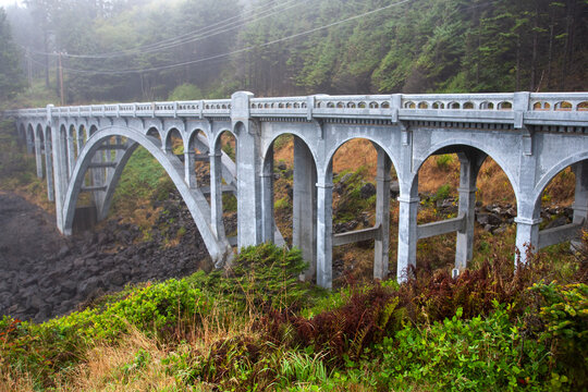 bridge over the river in the forest