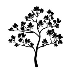 Monochrome silhouette of a deciduous tree with dense foliage in full bloom
