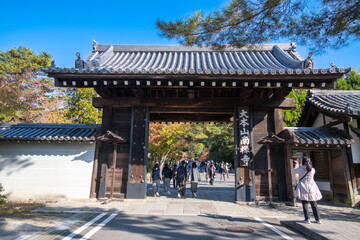 Fototapeta premium 日本、京都、南禪寺、寺院、青空、木、緑、木造の建物、秋、絶景、紅葉、写真素材
