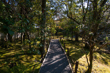 日本、京都、金地原、庭園、寺院、青空、木、緑、木造の建物、秋、絶景、紅葉、写真素材