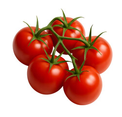 Red tomatoes on the vine fresh and ripe ready to eat