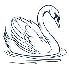 Obraz premium black swan vector illustration