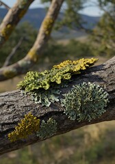 樹皮の彩り：リアルな３Dレンダリング