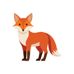 Obraz premium Isolated fox illustration on white background in CMYK color model for design use