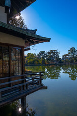 奈良、奈良公園、紅葉、五重塔、歷史名勝、水、池塘、木、綠色、青空、秋、絶景、写真素材