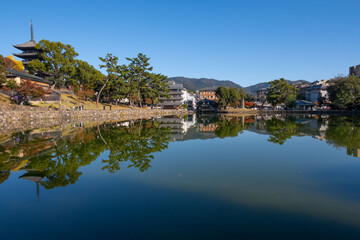 Obraz premium 奈良、奈良公園、紅葉、五重塔、歷史名勝、水、池塘、木、綠色、青空、秋、絶景、写真素材