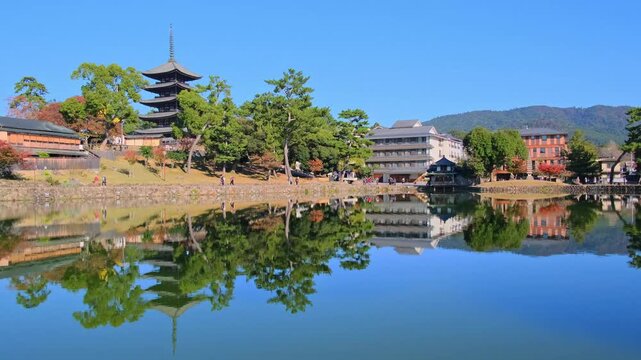 奈良、奈良公園、紅葉、五重塔、歷史名勝、水、池塘、木、綠色、青空、秋、絶景、写真素材