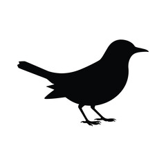 Black silhouette of a bird standing on the ground with legs visible and tail slightly raised, showcasing avian posture and minimalist style