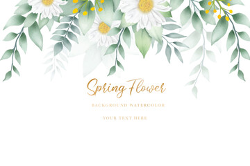 background flower chysanthemum and green leaves