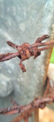 Knots of barbed wire that have been damaged and rusted