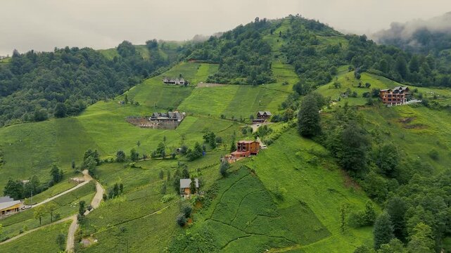 Low clouds covering the green hills and tea plantations surrounding a mosque and traditional houses in Camlihemin valley, Rize province, Black Sea region, Turkiye