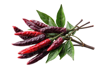 Close-up of a bunch of dark-red chili peppers on stems, with green leaves