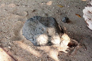 Textured grey rock on sandy beach with natural light